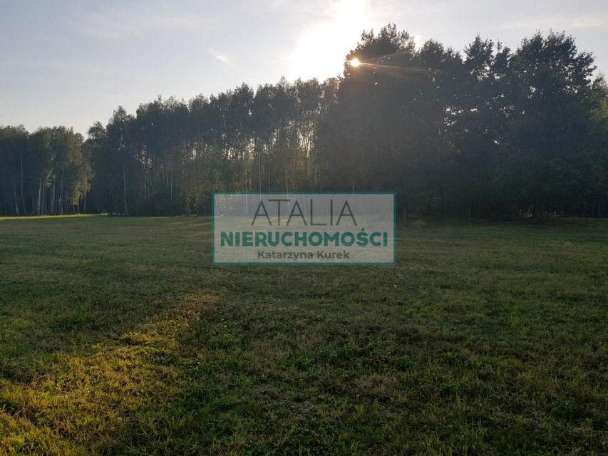 Zdjęcie 3