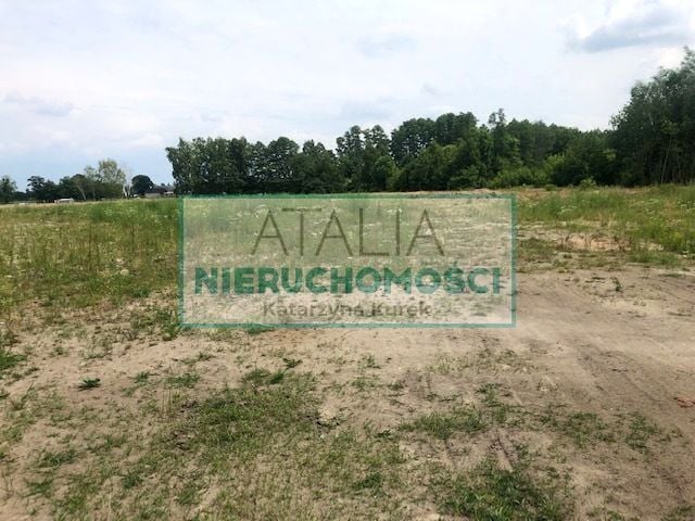 Zdjęcie 2
