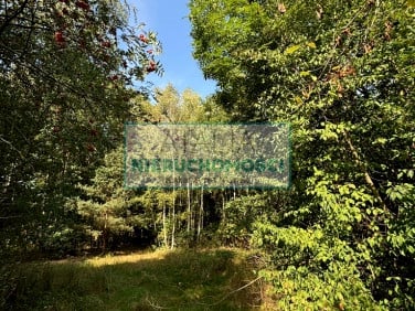 Działka Wiskitki