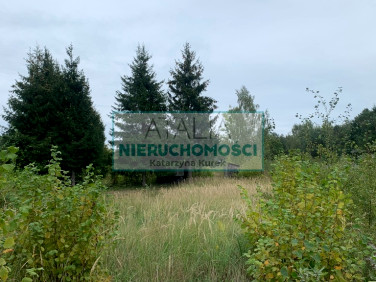Działka Ojrzanów
