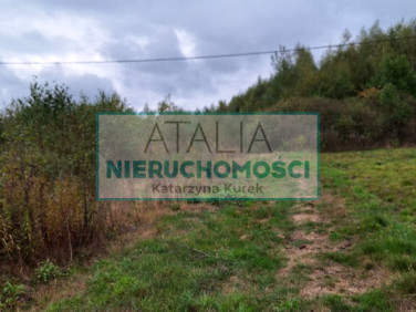 Działka Bieganów