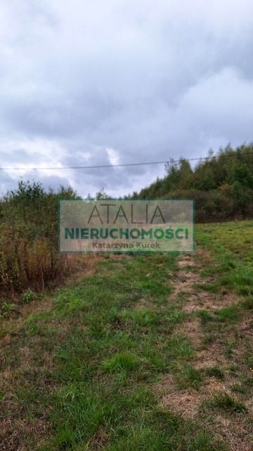 Działka Bieganów