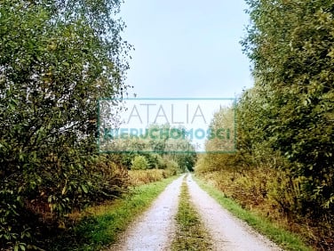 Działka Nowa Bukówka