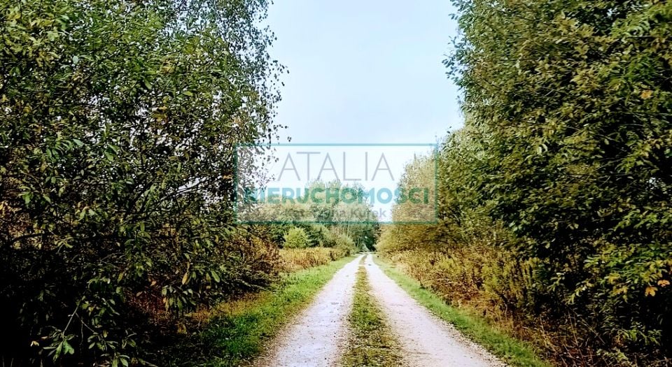 Działka Nowa Bukówka