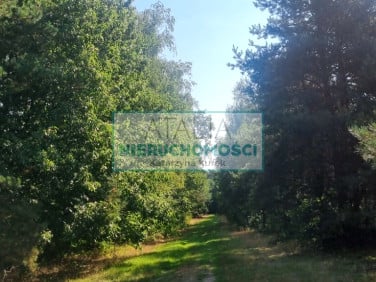 Działka Prace Duże