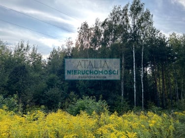 Działka Radziejowice