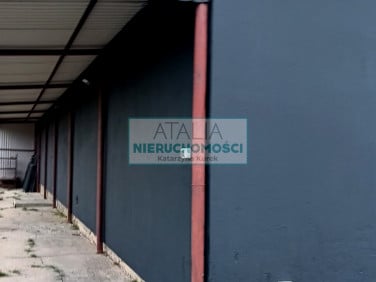 Budynek użytkowy Musuły