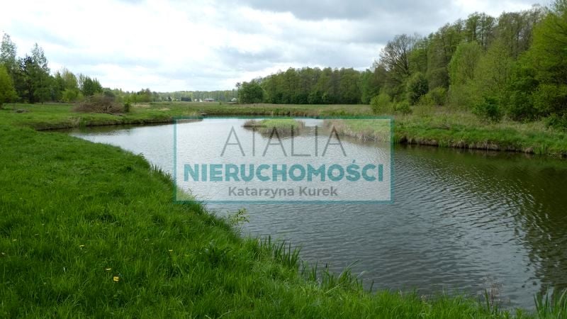 Działka siedliskowa Pieńki Zarębskie sprzedam