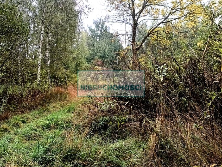 Działka Żabia Wola