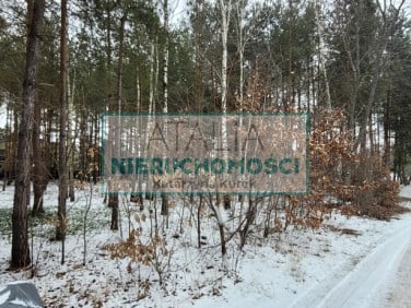 Działka Musuły