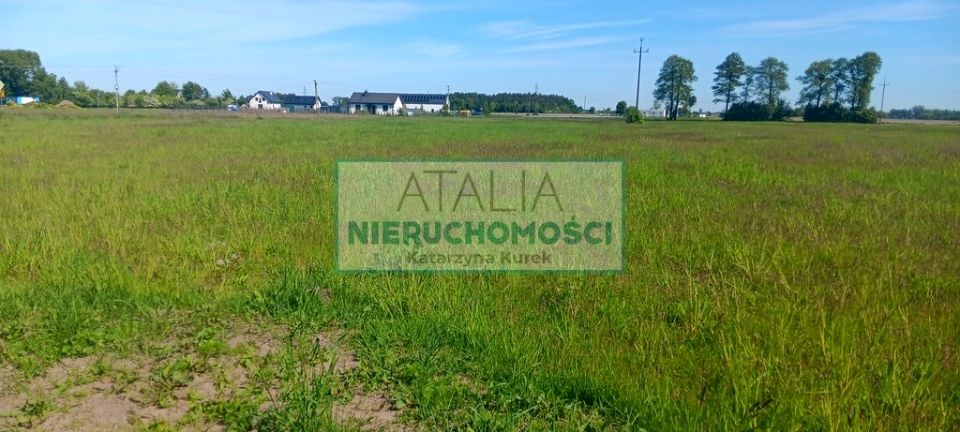 Zdjęcie 3