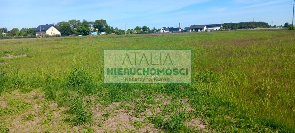 Zdjęcie 4