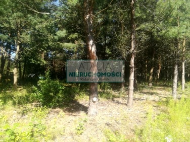 Działka Mieszkowo