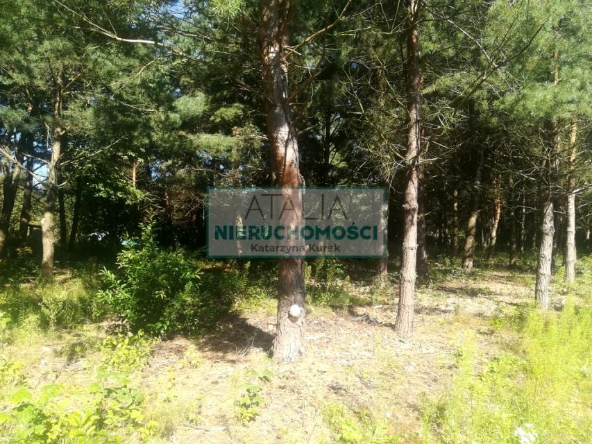 Działka Mieszkowo