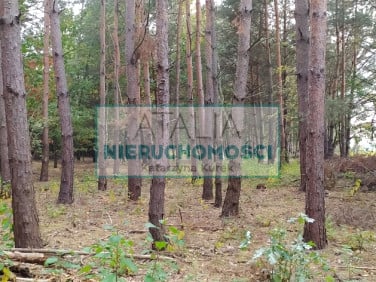 Działka Kuklówka Zarzeczna