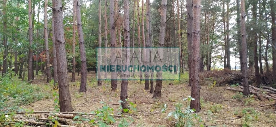 Działka Kuklówka Zarzeczna