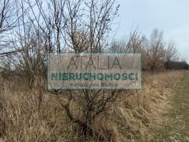 Działka Kotowice