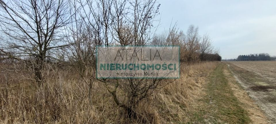 Działka Kotowice