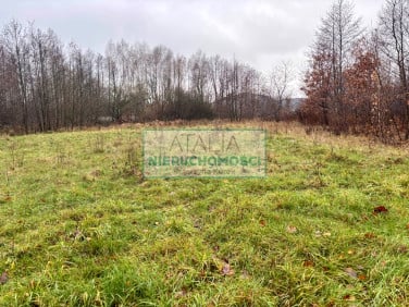 Działka Mszczonów