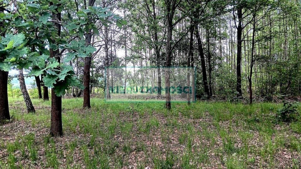 Działka Budy-Grzybek