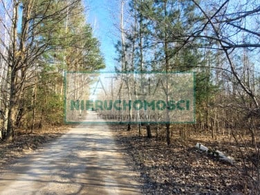 Działka Wycinki Osowskie