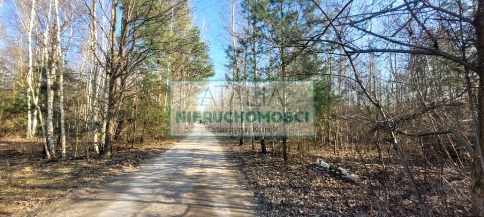 Działka Wycinki Osowskie