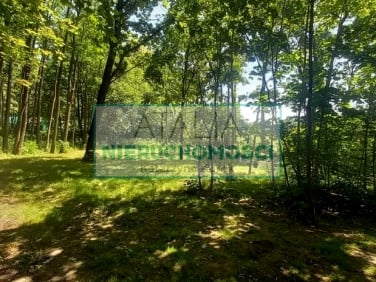 Ogrodzona działka sprzedam