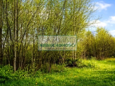 Działka Nowa Bukówka