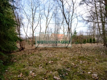 Dom Ojrzanów