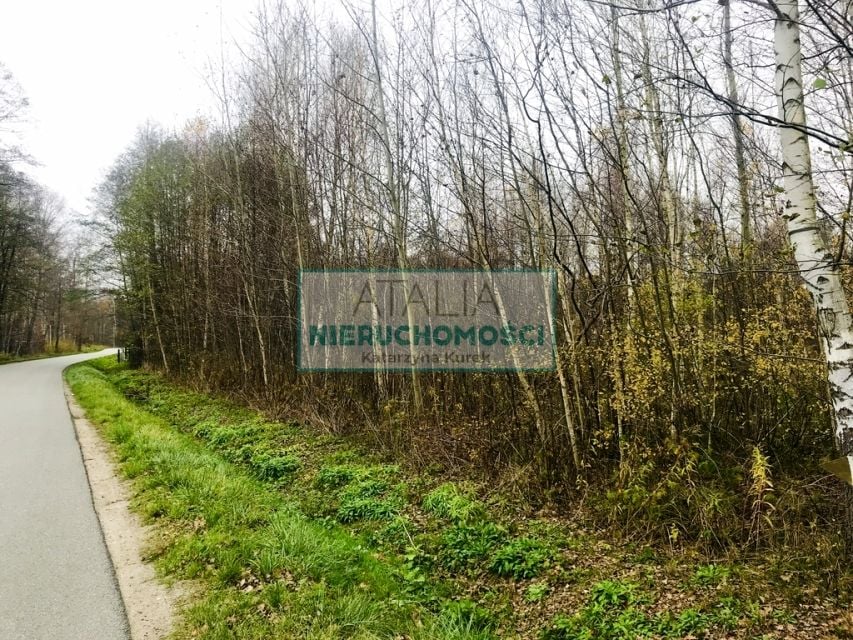 Działka Budy Michałowskie