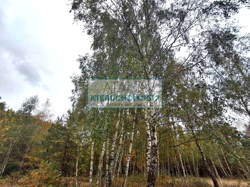 Działka Radonie