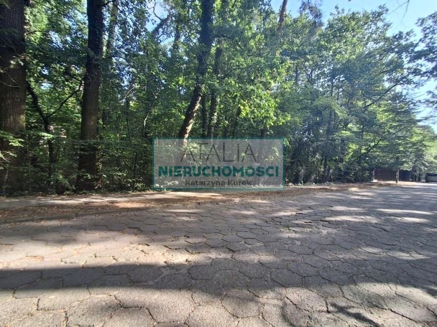 Zdjęcie 2