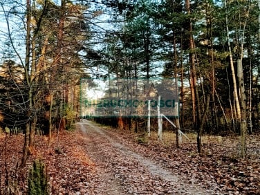 Działka budowlana Wolica sprzedam