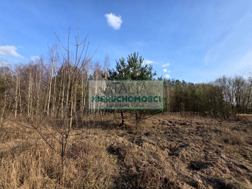 Zdjęcie 2