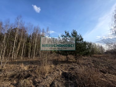 Działka Ojrzanów