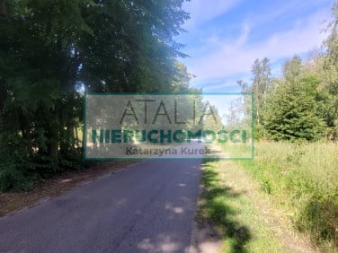 Działka budowlana Puszcza Mariańska