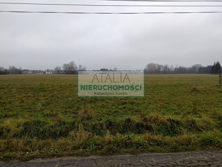 Zdjęcie 2
