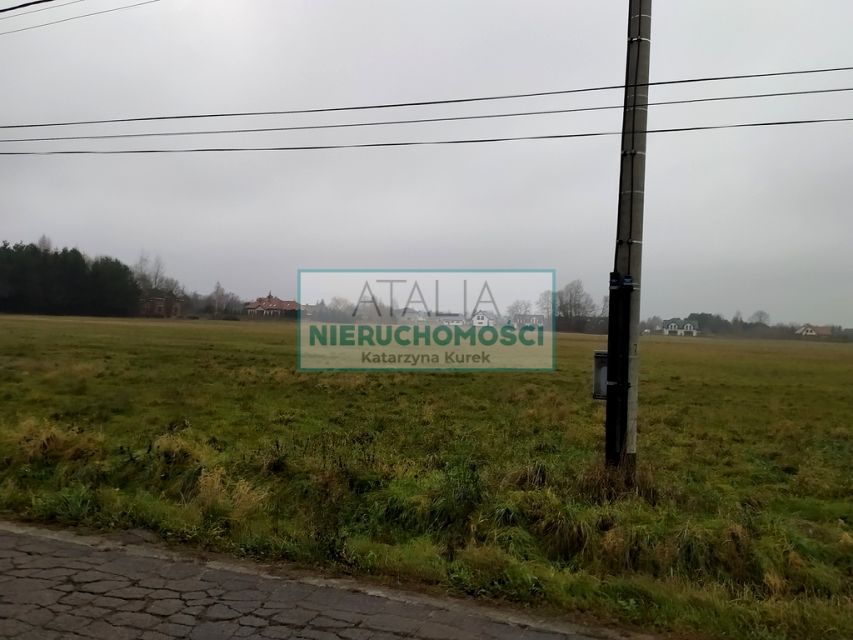 Zdjęcie 3
