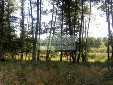Działka leśna sprzedam