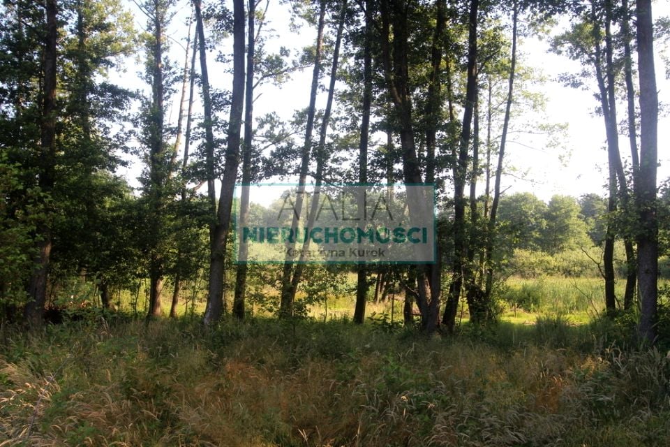 Działka leśna sprzedam