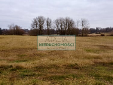 Działka Grójec