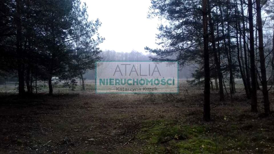 Działka przy lesie