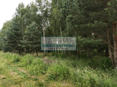 Działka Żelechów