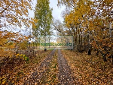 Działka Władków