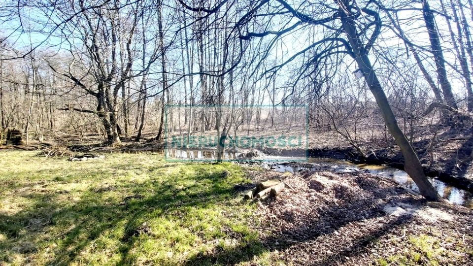 Działka Ciepłe