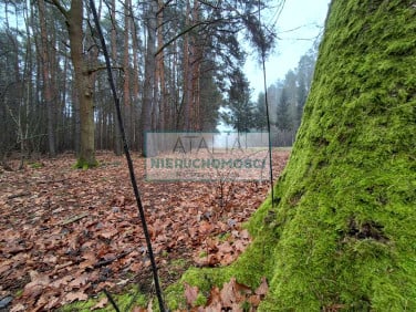 Działka budowlana Nadarzyn