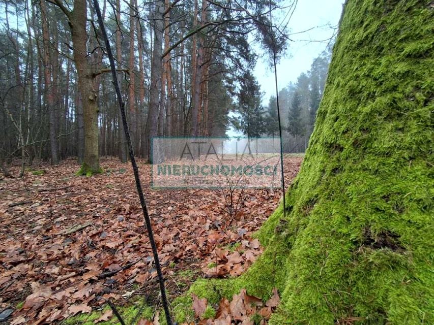 Działka budowlana Nadarzyn