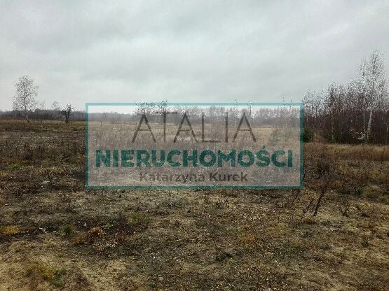 Zdjęcie 2