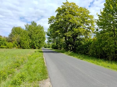 Działka budowlana Borkowice sprzedam
