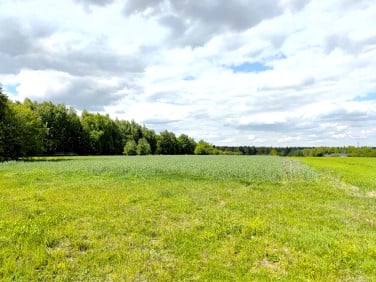Działka budowlana Borkowice